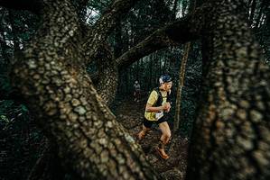 BIB: 
                            <button type="button" onclick="openModal(25682002)" class="btn btn-primary btn-sm float-right btn-popup" data-toggle="modal" data-target=".modal-high-quality">
                        <i class="fas fa-shopping-cart"></i> Add to Cart
                    </button>
                                            <button type="button" onclick="isThisMe(25682002, true)" class="btn btn-success btn-sm float-right btn-popup btn-isme hidden" data-toggle="tooltip" data-placement="bottom" title="นี่คือรูปของคุณใช่ไหม คลิกที่นี่เพื่อเอาเข้าอัลบั้ม">
                        <i class="fas fa-plus"></i> Add to album
                    </button>
                    <button type="button" onclick="isThisMe(25682002, false)" class="btn btn-warning btn-sm float-right btn-popup btn-isnotme hidden">
                        <i class="fas fa-ban"></i> Remove from album
                    </button>